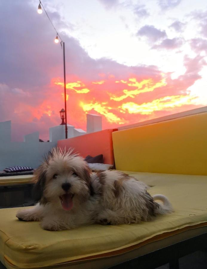 Antwet Backpacker'S Inn & Rooftop Bar Dumaguete City Luaran gambar